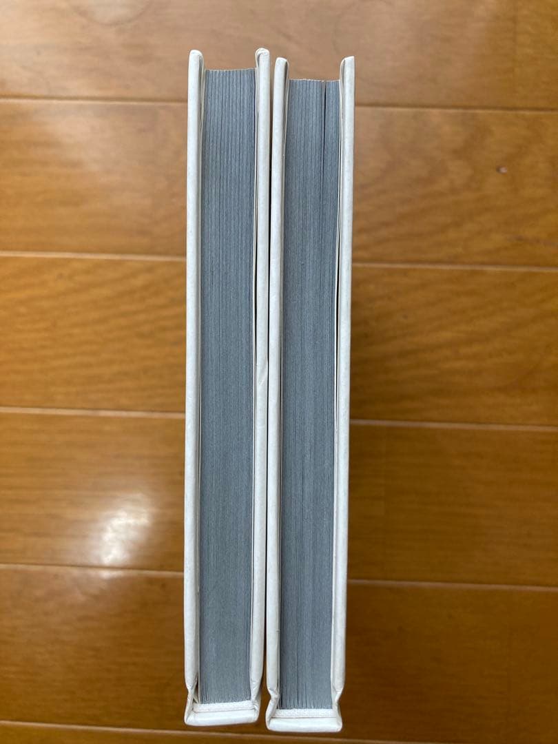 spinoza スピノザ1.2巻セット初版本　小池圭一著