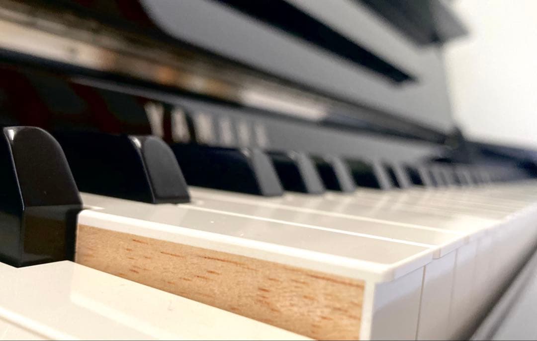 お買い得！クラビノーバ 上位機種！YAMAHA CLP585PE