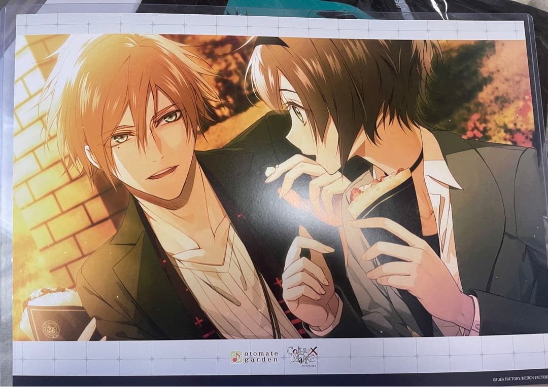 カラーマリス オトメイトガーデン ランチョンマット 冴木 - メルカリ