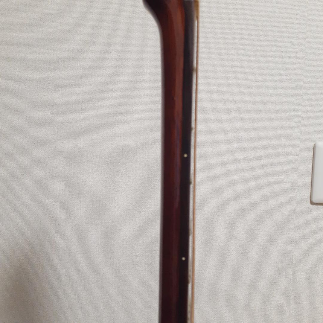 BugsGear（バグスギア）DR50TW