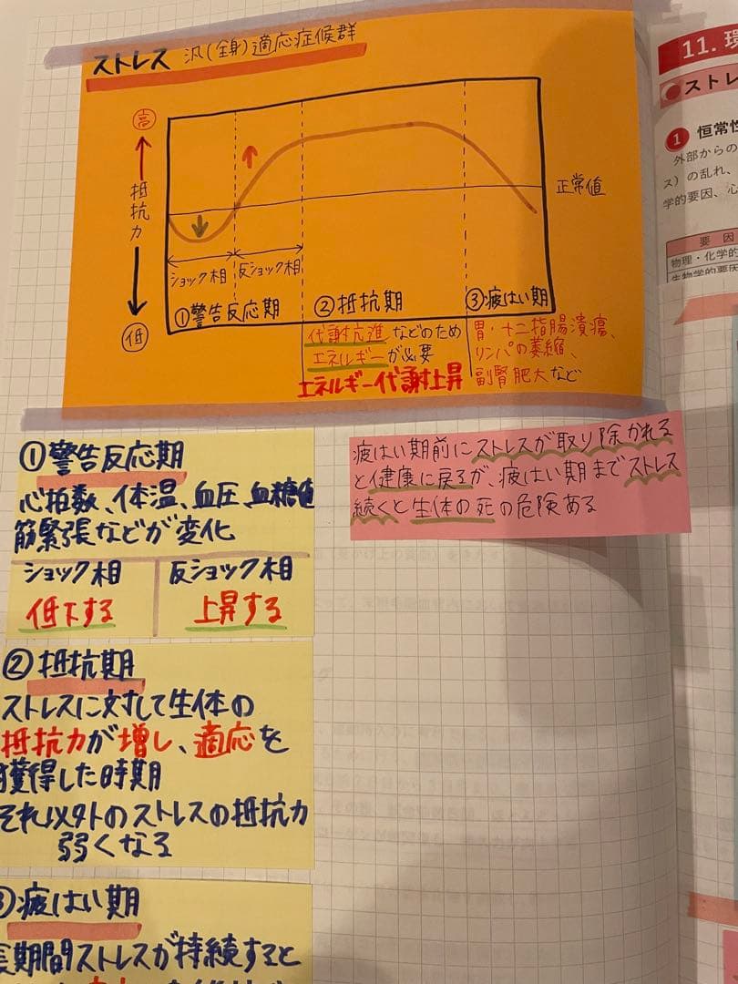 管理栄養士国家試験 まとめノート 9科目すべて | Shop at Mercari from