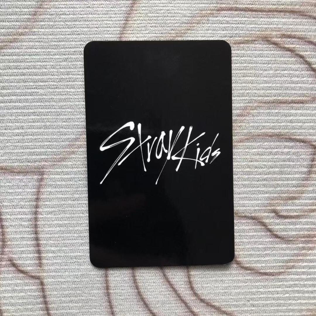 Straykids kwave 入場特典 人気歌謡 サノク スンミン トレカ - メルカリ