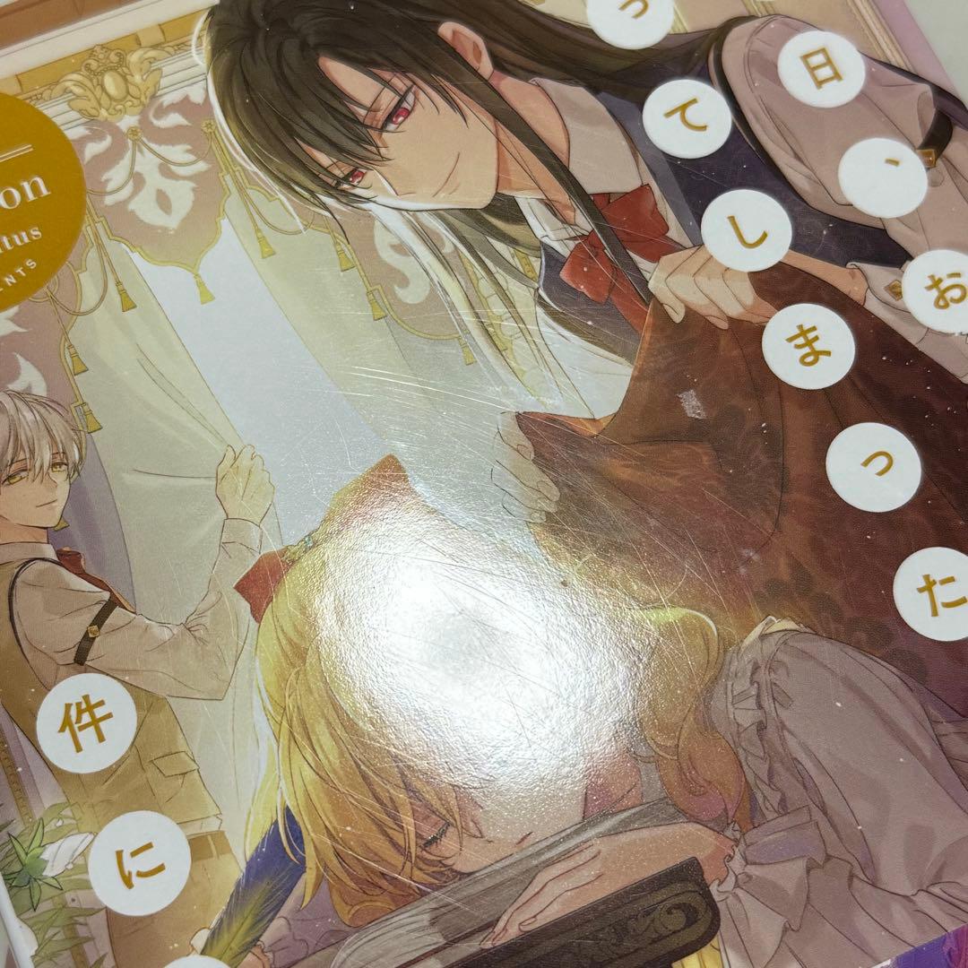 【本日発送】トレカ付き　ある日、お姫様になってしまった件について　1〜13巻
