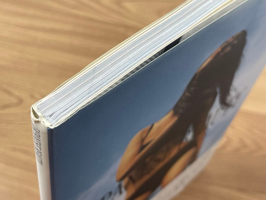 【初版帯付】Japanese beauty Hiromix 写真集