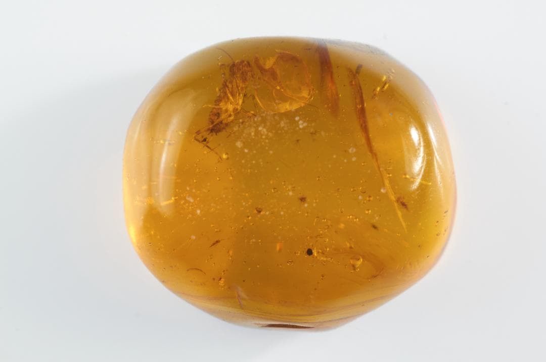 ZB325虫入り琥珀化石 ミャンマー カムティかタナイ産 9900万年前