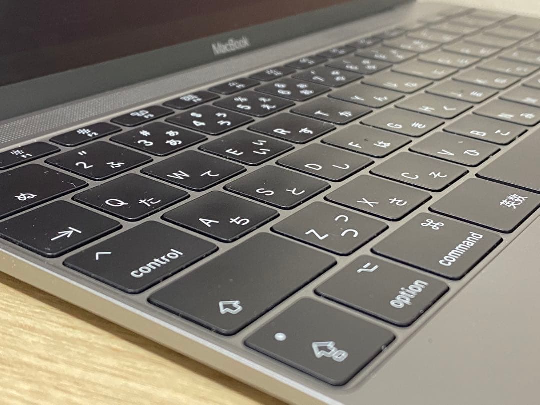 MacBook本体 MacBook Retina A1534 Early2016 m3/8/256