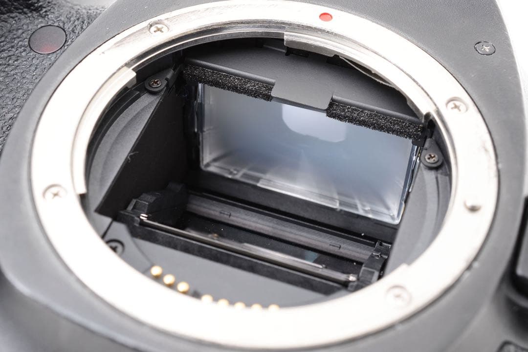 保証/Canon EOS 5D MarkIII 標準&望遠ダブルレンズセット - メルカリ