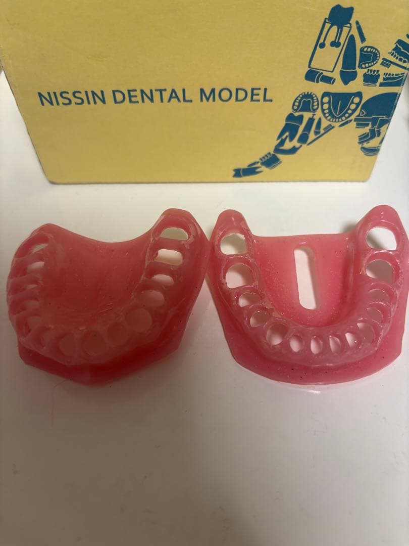 NISSIN 歯科模型 P15D-500R90-5841 - メルカリ