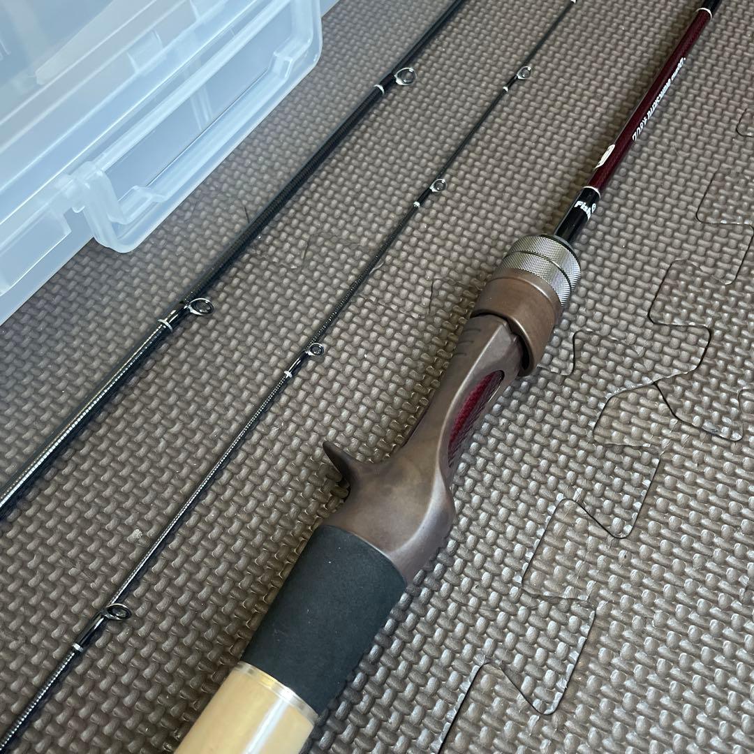 【未使用】 FISHMAN Beams blancsierra 4.8UL