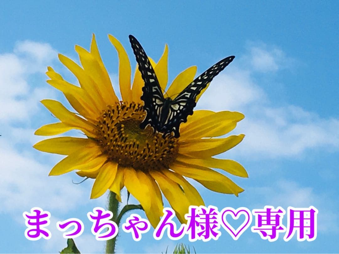 まっちゃん様❤️おまとめ専用ページです。3/7まで♡ - メルカリ