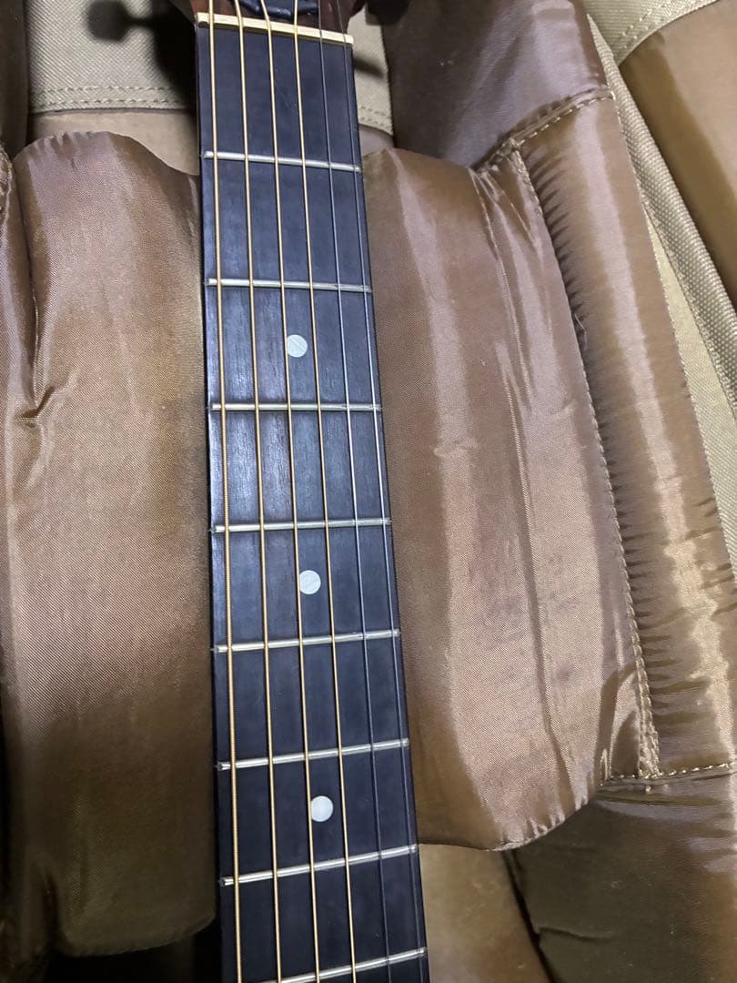 taylor 214ce 訳ありの通販はau PAY マーケット - 輸入雑貨のネット