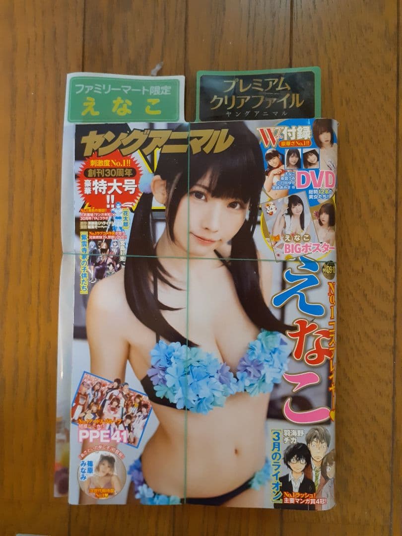 えなこ他 DVD特集　計14冊セット　田中美久まとめ売り