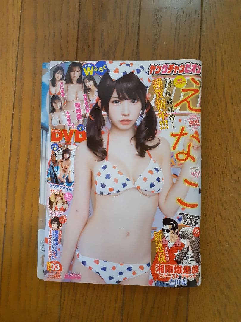 えなこ他 DVD特集　計14冊セット　田中美久まとめ売り