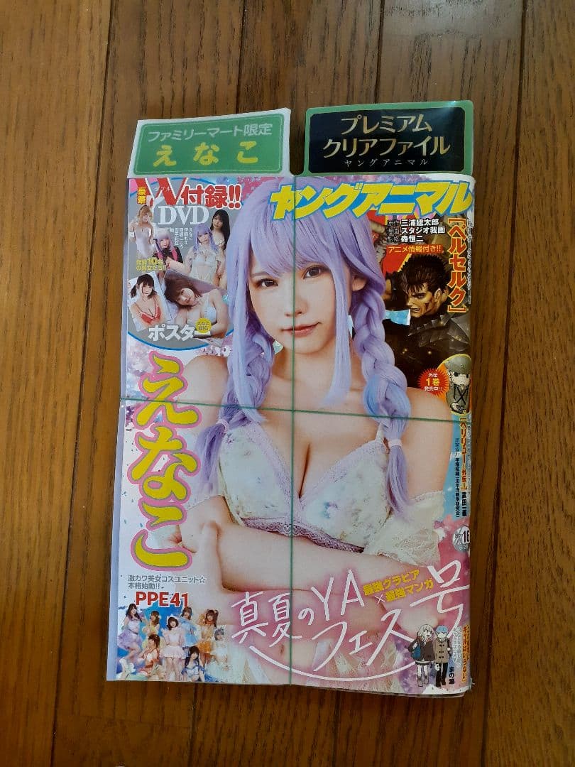 えなこ他 DVD特集　計14冊セット　田中美久まとめ売り