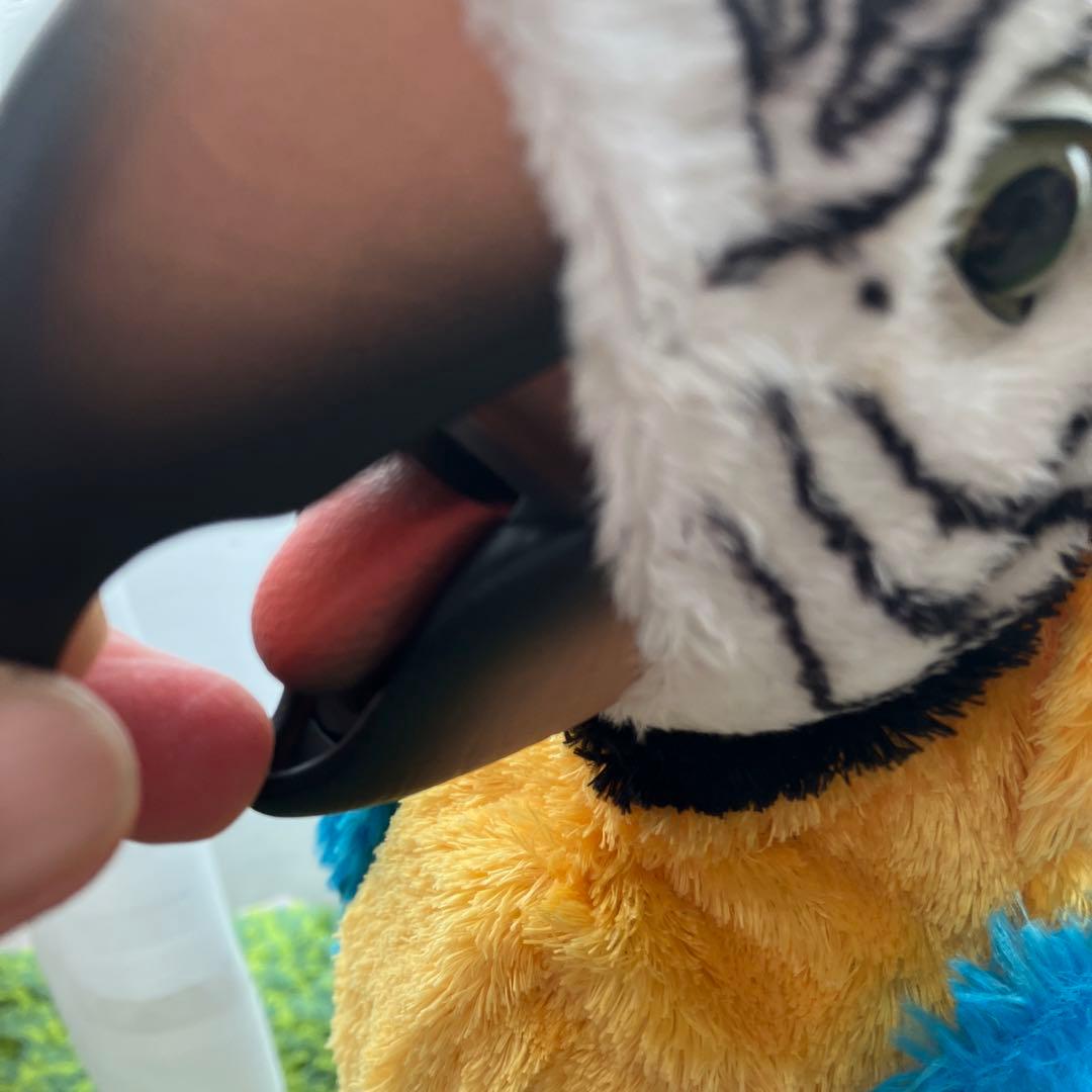 夢おうむ ぬいぐるみ いんこ セガトイズ 鳥 野鳥 南国 本体のみ