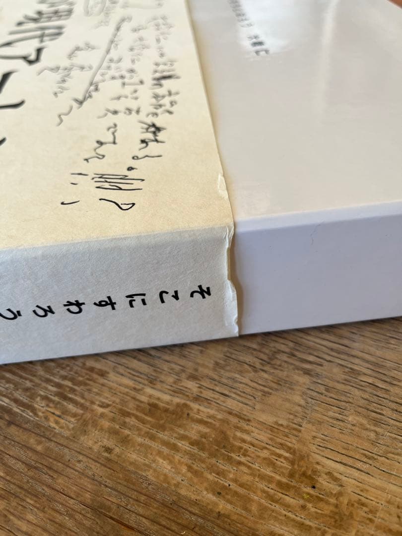 そこにすわろうとおもう　大橋仁　絶版