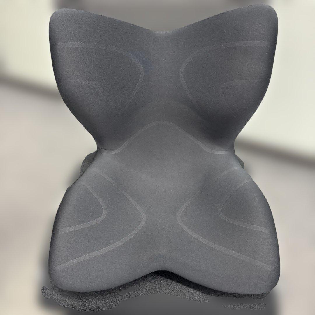 MTG Styleのスタイルプレミアム Style（スタイル） ○ポイント10倍！○ MTG公式ストア 座椅子