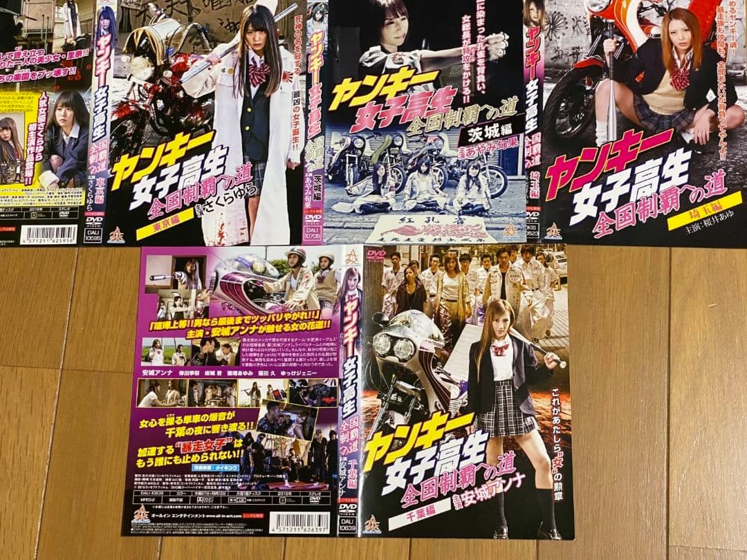 ヤンキー女子高生 全9巻セットとヤンキー女子高生全国制覇への道 全4巻 計13枚
