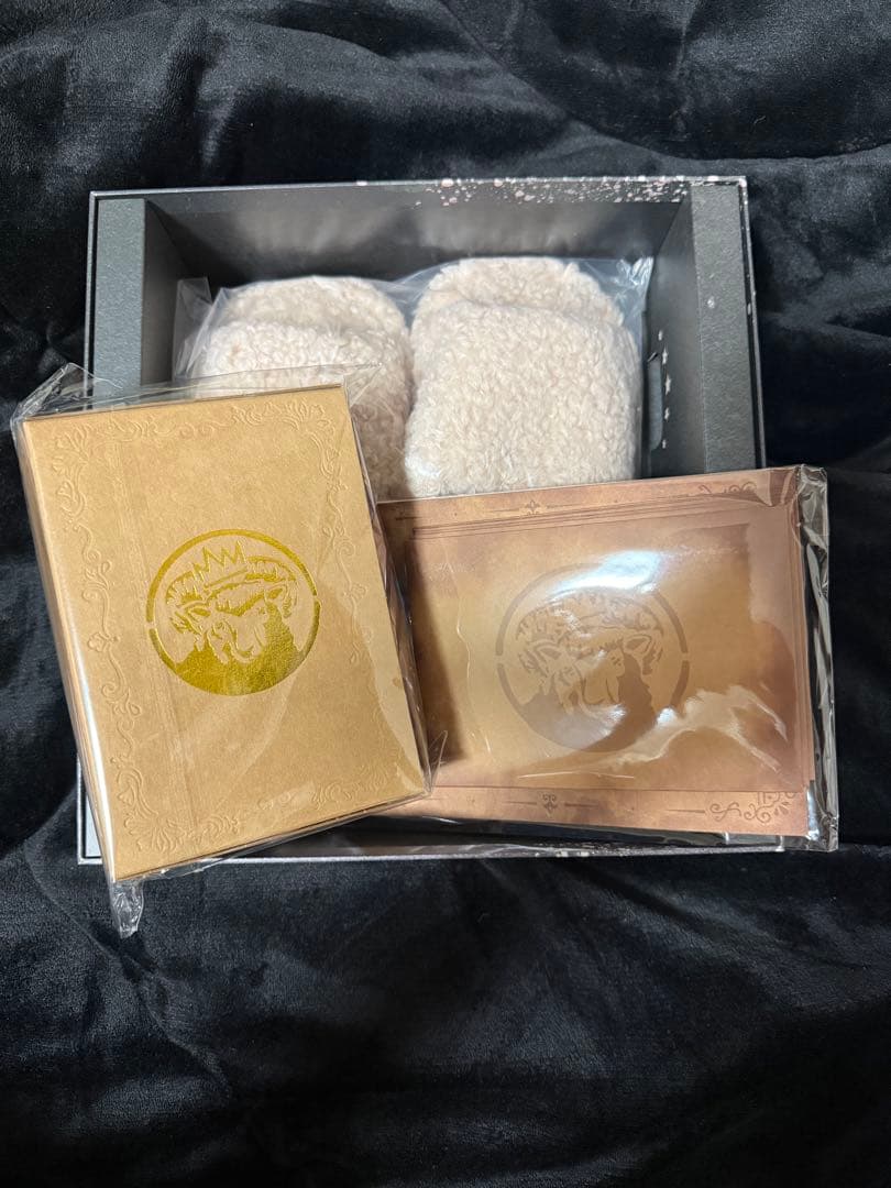 Siip / ガイア【完全生産限定盤】　GOODS　ダウンロードカード‪なし