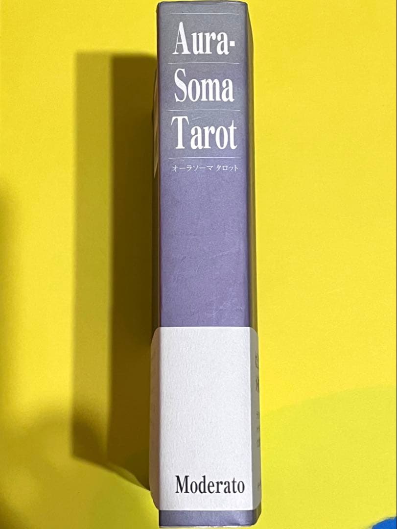 ☆絶版☆未使用 オーラソーマタロット 解説本 マイクブース 著 大野