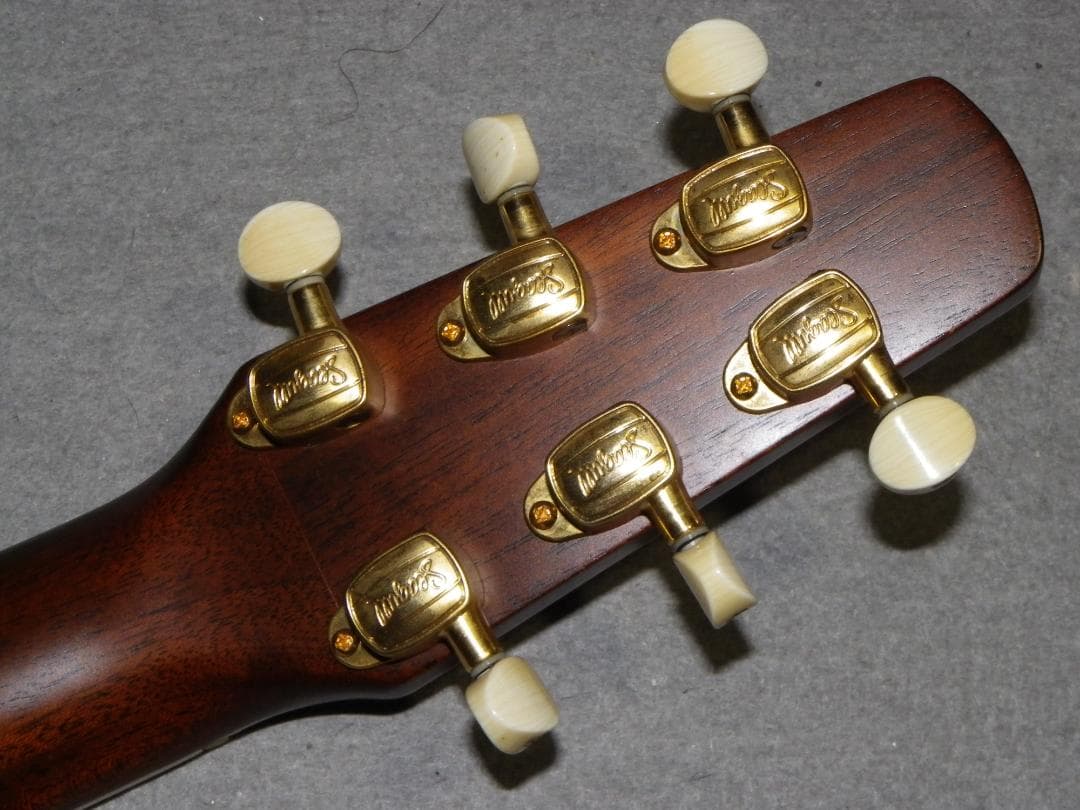 お値引き/シーガルArtist Studio EQエレアコ、LR Baggs装備