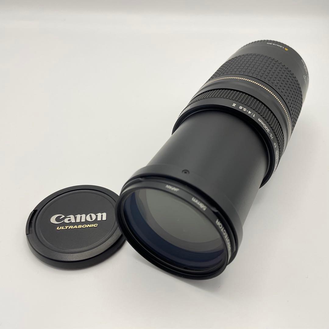 Canon EF 75-300mm F/4-5.6 II 超望遠レンズ　キャノン