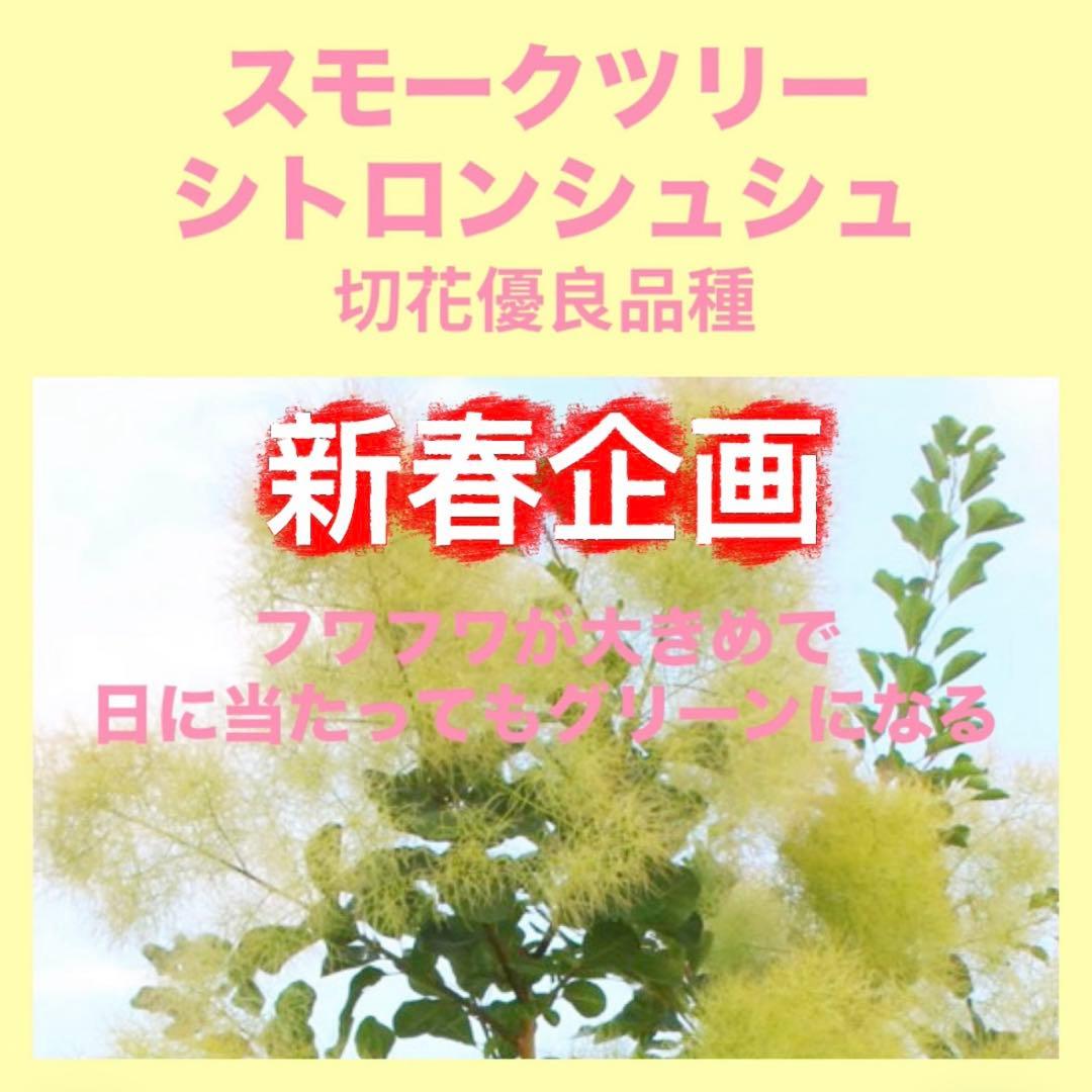 おまとめHirahira様 リクエスト 5点