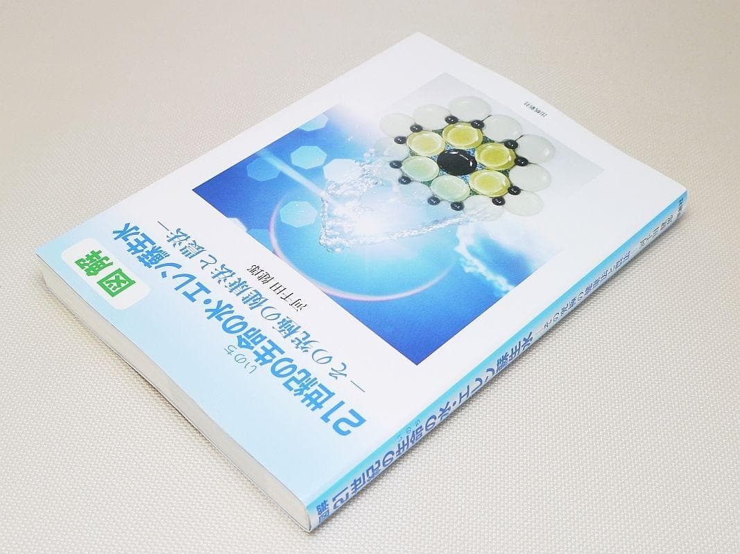 図解 21世紀の生命の水・エレン蘇生水 その究極の健康法と農法 河千田