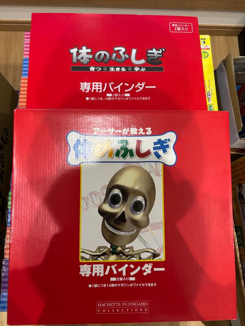 最終値下げ❗️アーサー　人体模型 セット 101個　バインダー14冊付きます