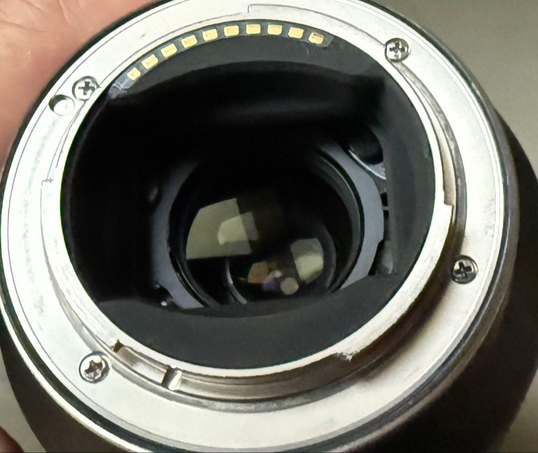 タムロン70-300mm F/4.5-6.3 Di III RXD Eマウント