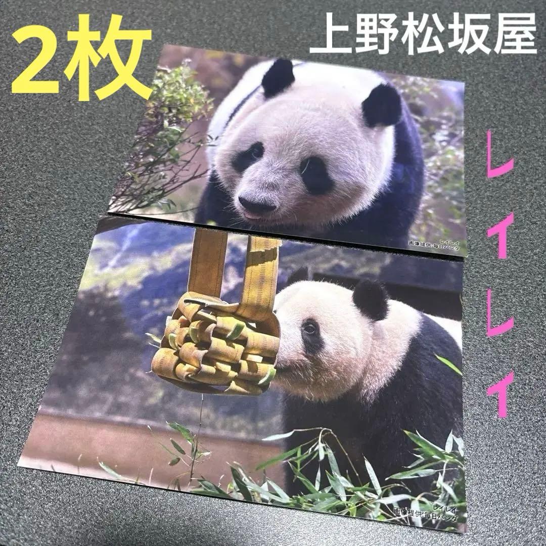 上野松坂屋 限定 毎日パンダ ポストカード レイレイ 上野動物園 非売品
