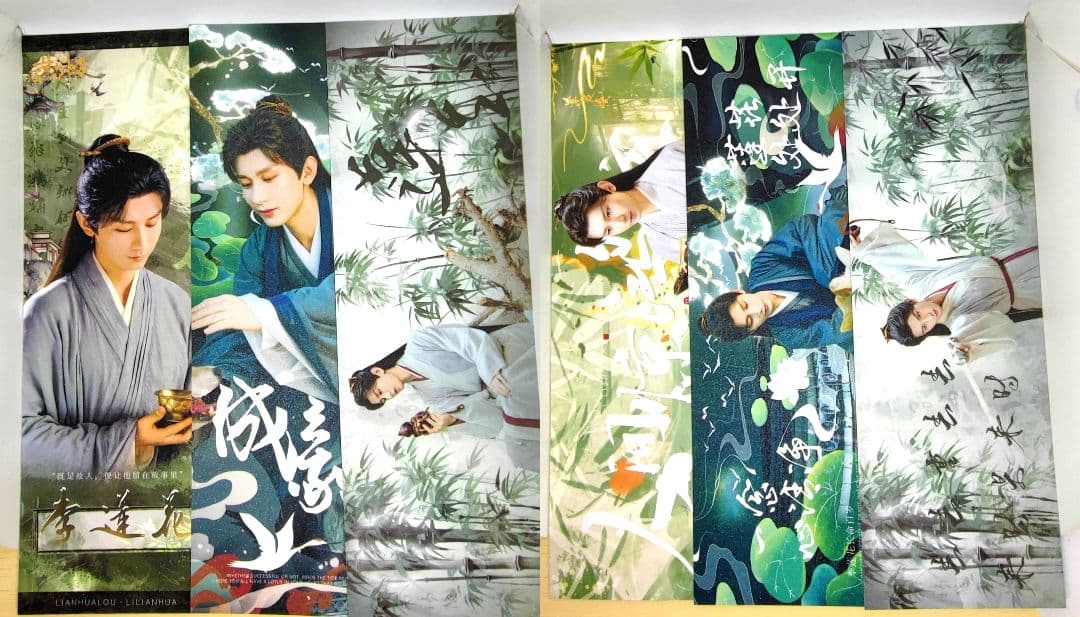 B【成毅】手幅ポスター45枚(リフィル入)➕専用バインダー(赴山海