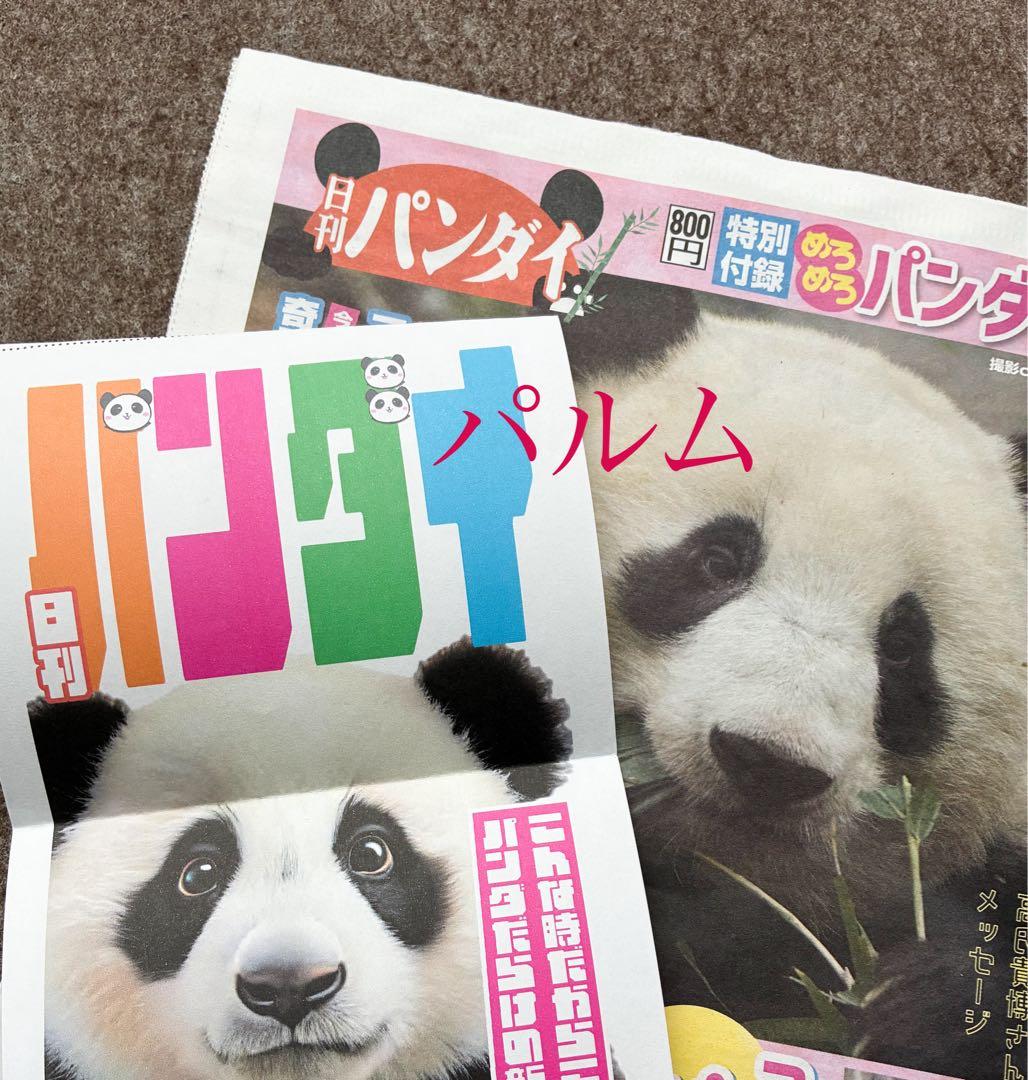 日刊 パンダイ【1部】店頭Pop ゲンダイ 新聞 - メルカリ