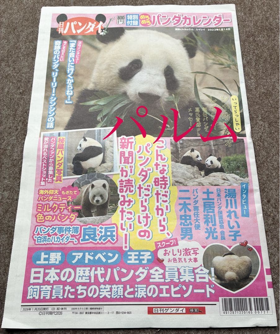 日刊 パンダイ【1部】店頭Pop ゲンダイ 新聞 - メルカリ