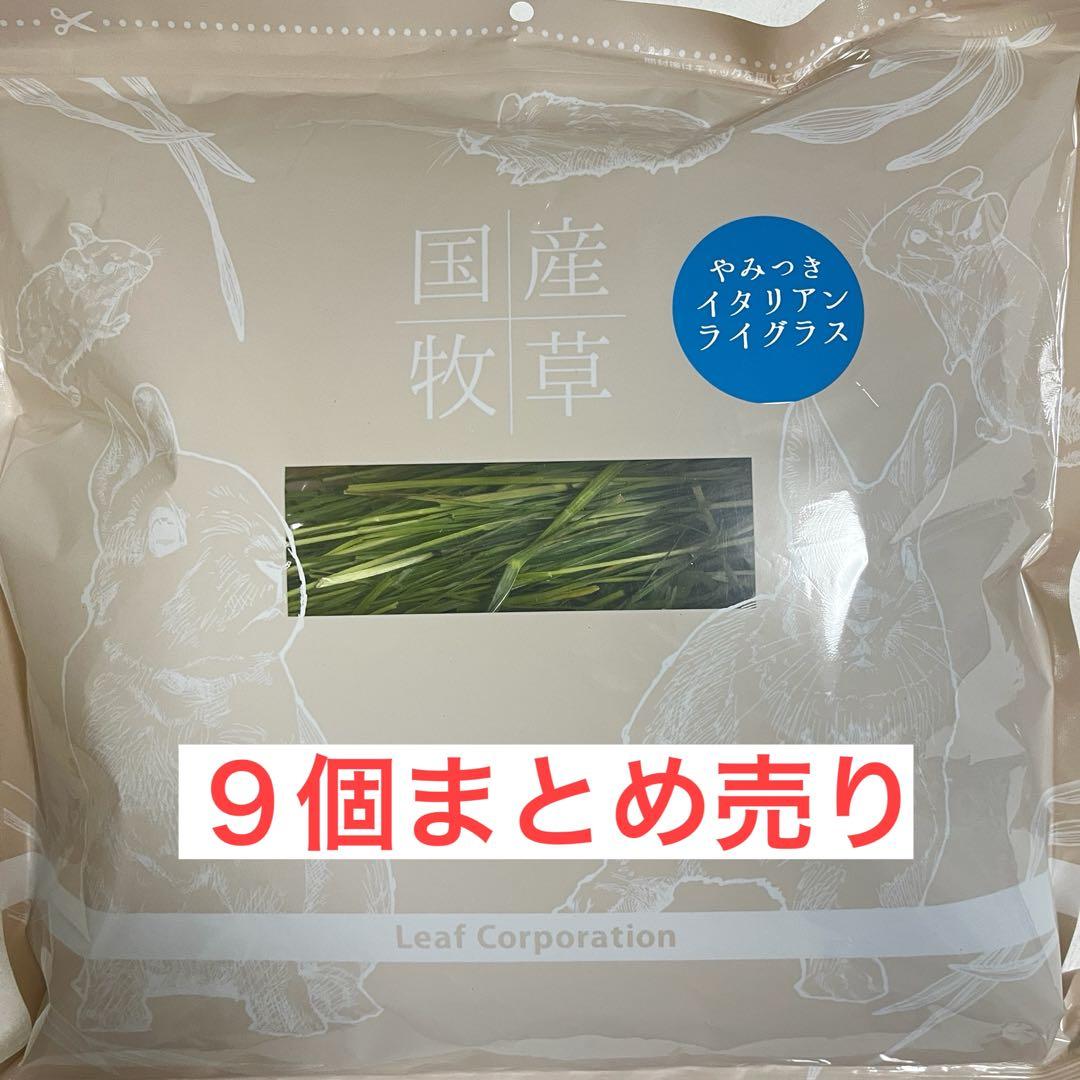 令和7年産国産やみつきイタリアンライグラス 100g 9個まとめ売り 令和7年産 国産牧草 やみつきイタリアンライグラス 100g 牧草 うさぎ