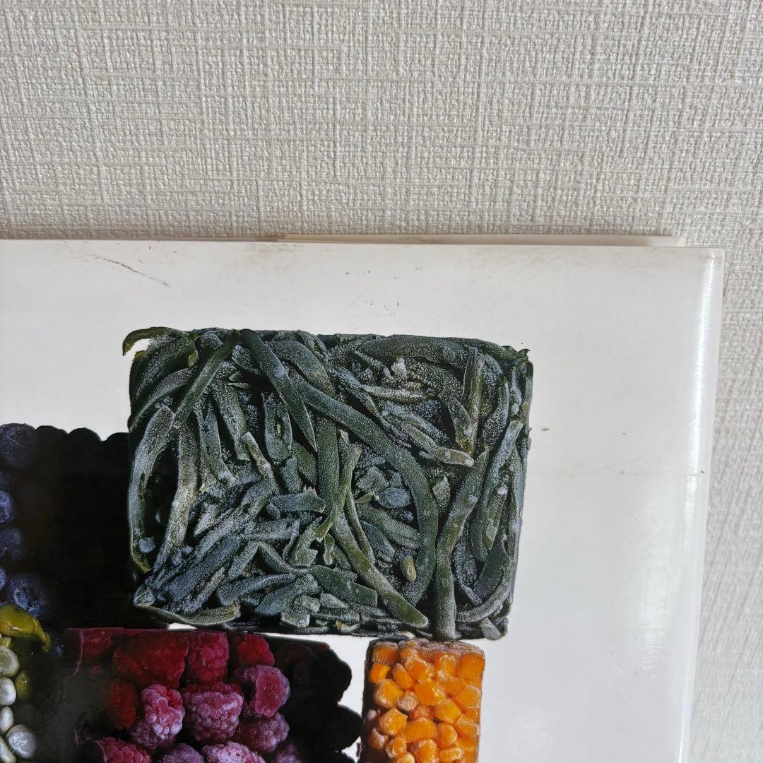 Still Life Irving Penn アーヴィングペン 写真集 - メルカリ