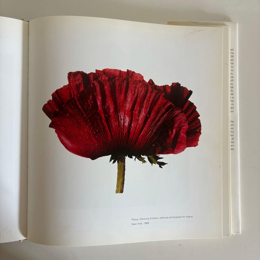 Still Life Irving Penn アーヴィングペン 写真集 - メルカリ