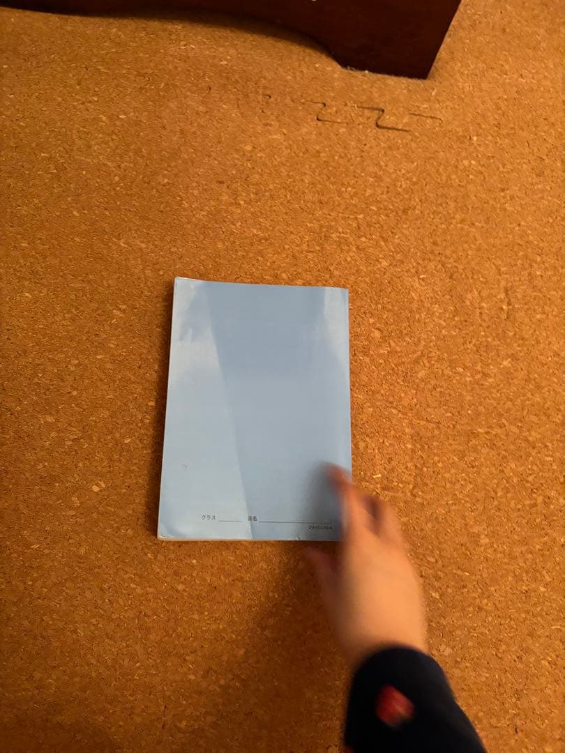 く*ン様 一年分2024鉄緑会生物Aクラス（上位）一式全てあります