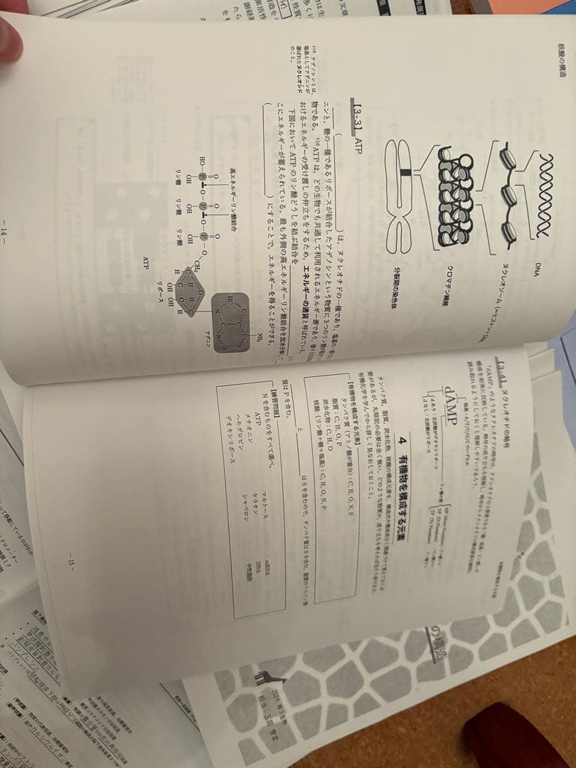 く*ン様 一年分2024鉄緑会生物Aクラス（上位）一式全てあります