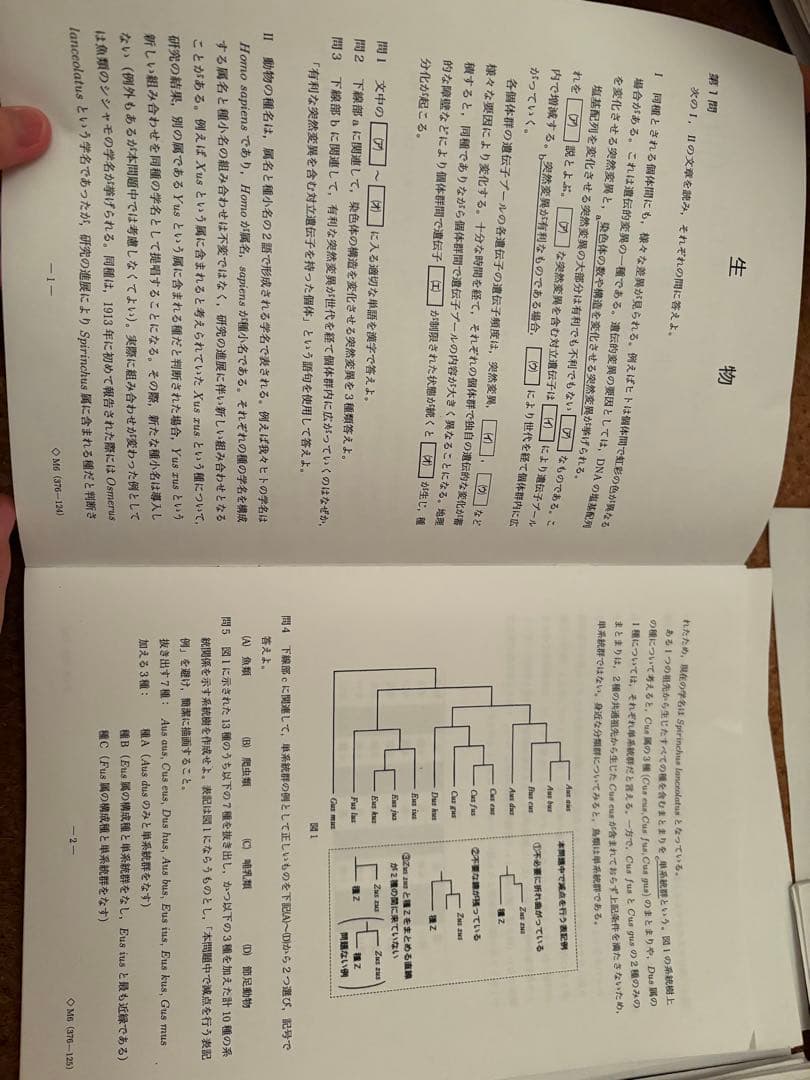く*ン様 一年分2024鉄緑会生物Aクラス（上位）一式全てあります
