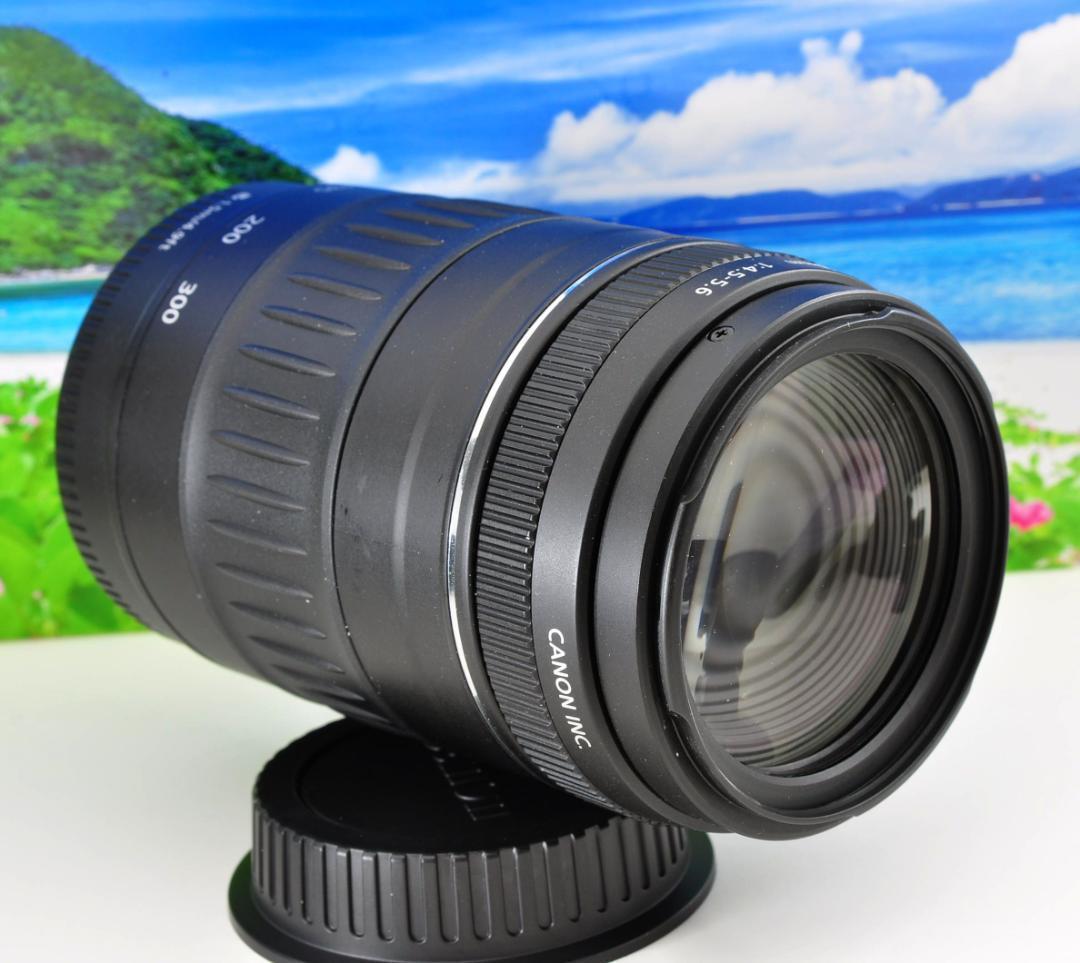 キャノン Canon EF 90-300mm F4.5-5.6 望遠レンズ