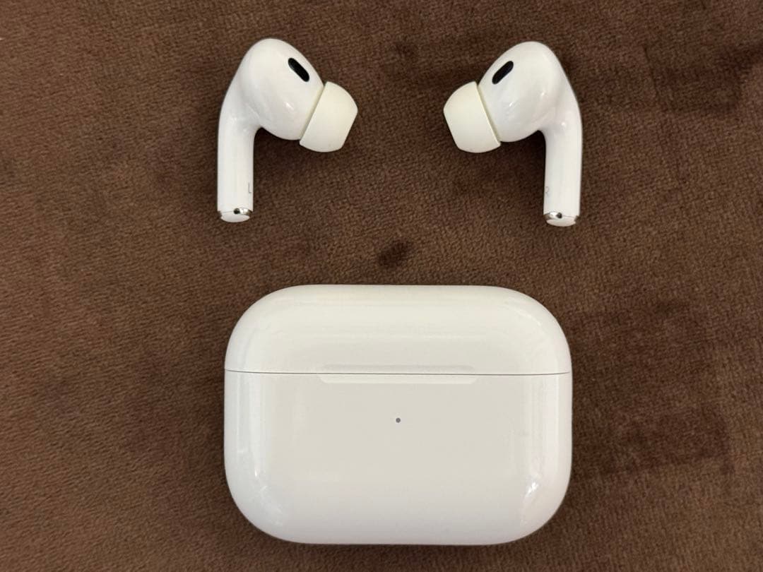 BOSE ボーズ 301 AV MONITOR スピーカー ペア