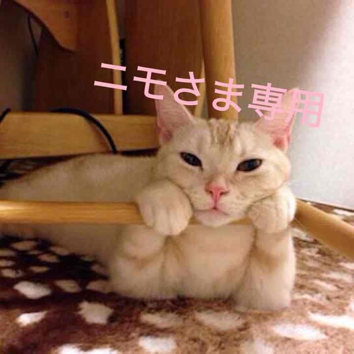 ゴールデンボンバー DVD DVD】ゴールデンボンバーPV集「GOLDEN CLIPS」(通常盤)