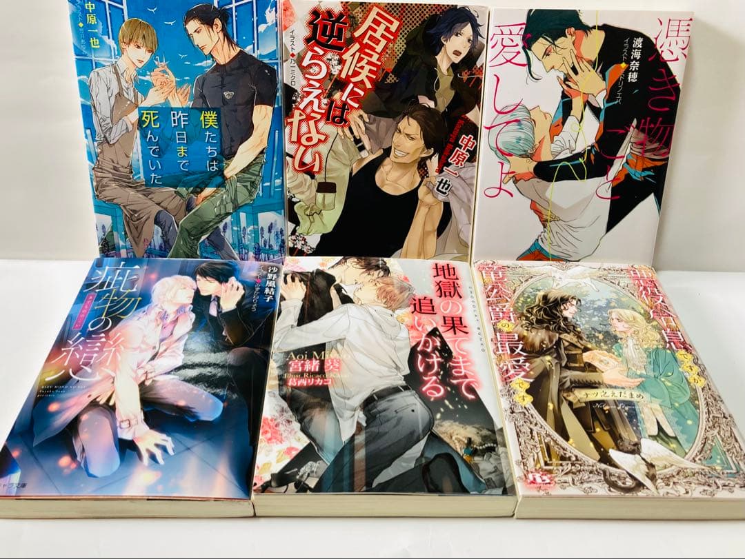 【バラ売り可】BL小説●バラ売り1冊から●送料込み●一部帯付き●まとめ