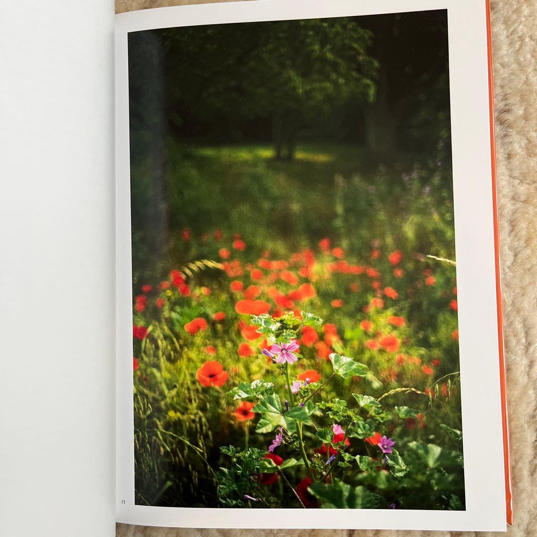 Terri Weifenbach 写真集