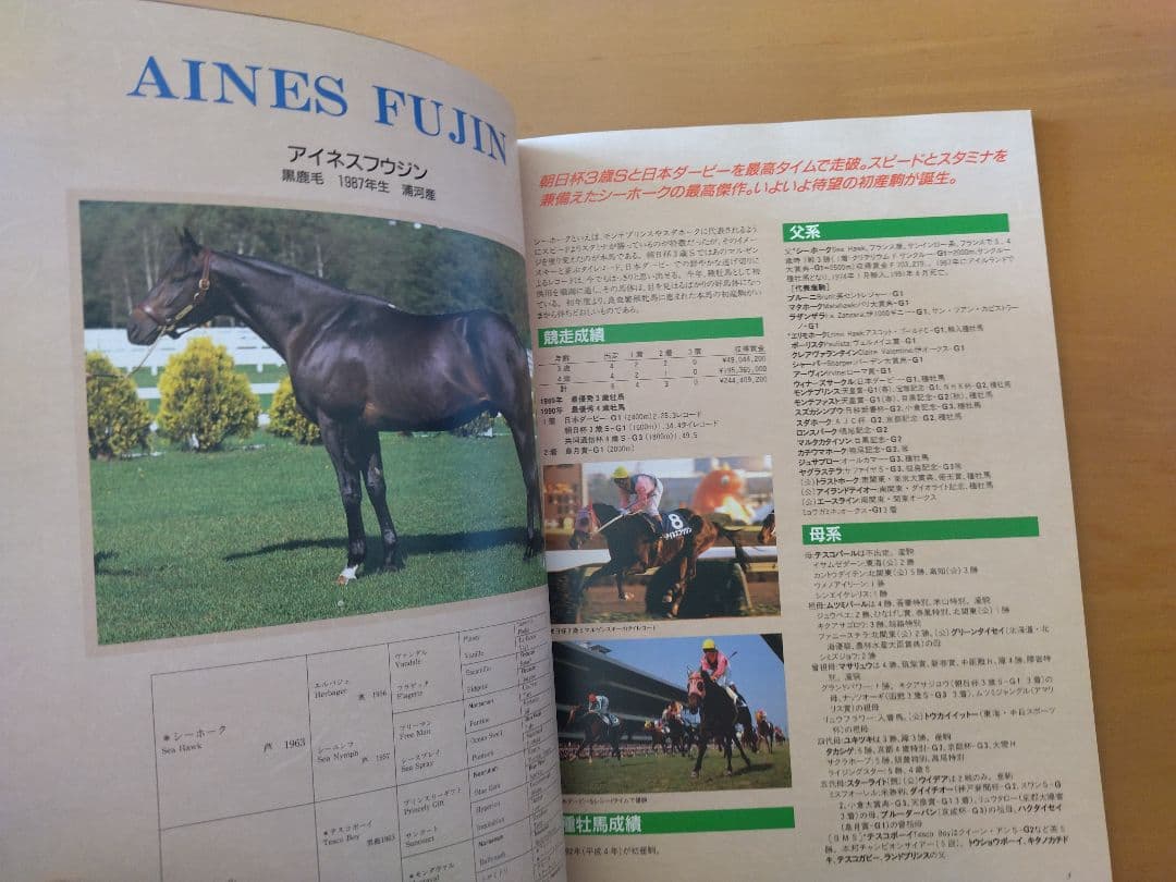 趣味・スポーツ・実用 LEX STUD STALLION REVIEW 1992