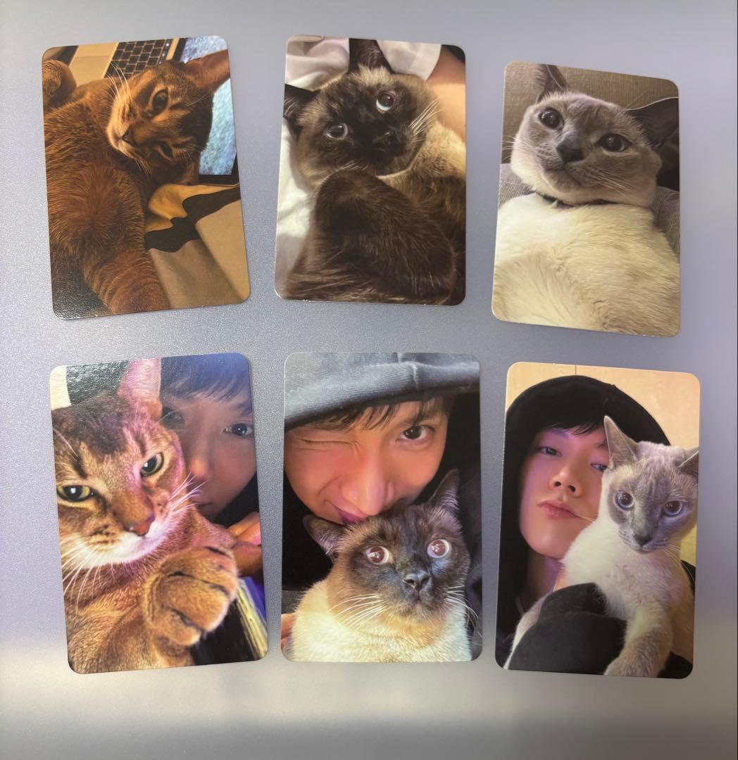 WayV 威神V テン 猫トレカコンプリートセット - メルカリ