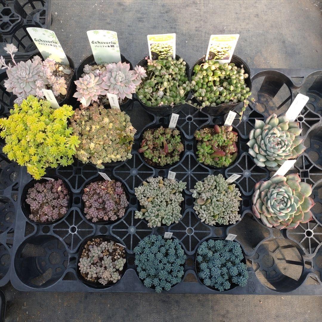 午前着 ☆Yuさん専用