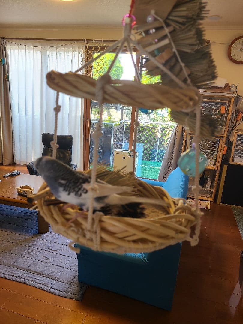 ④ Mont-Blanc＊　揺れるアスレチックLサイズ　6こ Mont Blanc - 2023/06/27-29 - YouTube