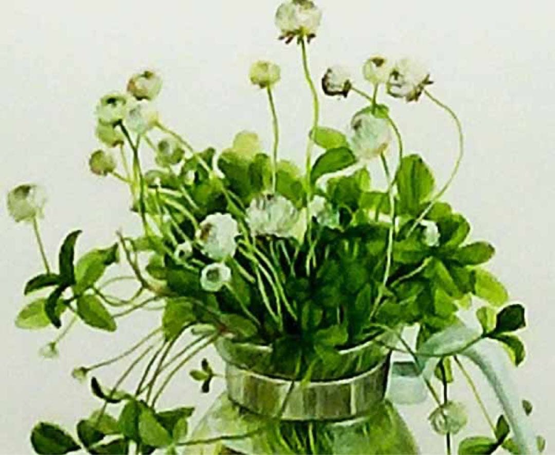 原画1点物！ 橋本不二子「軽井沢のクローバー（1）」水彩画 大変貴重な